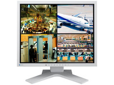 DuraVision FDS1903 19" Monitor
