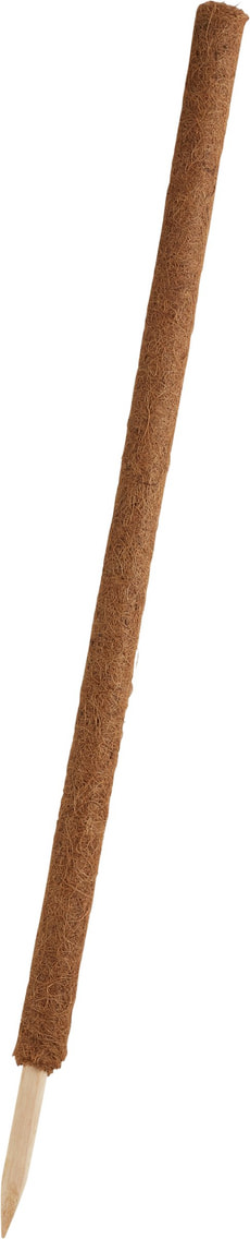 Kokos Pflanzenstab