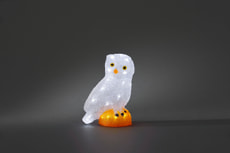 LED Acryl Eule