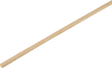 Balsaleiste