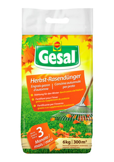 Herbst-Rasendünger, 6 kg