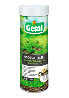 Nachsaat-Rasen, 380 g
