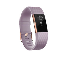 Charge 2 Lavanda Small