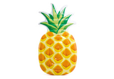 Pineappple Tube
