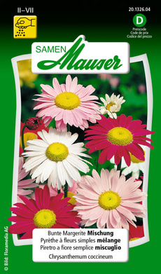 Bunte Margerite Mischung