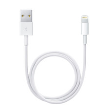 Lightning auf USB Kabel 0.5m