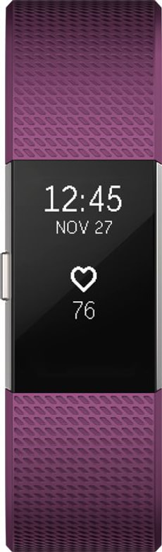 Charge 2 Plum / Silver Small