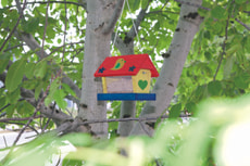 Vogelhaus-Bausatz Woodpecker