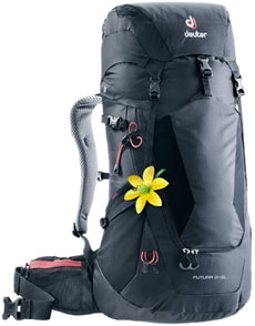Futura 24 SL