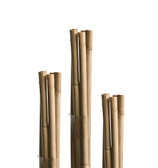 Bambusstäbe 60cm