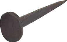 Paschnagel Flachkopf