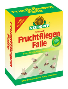 Permanent FruchtfliegenFalle