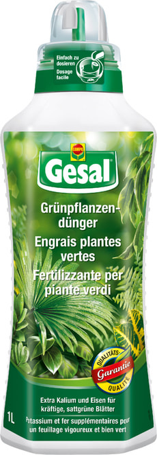 Grünpflanzendünger, 1 l