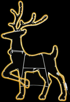 LED Hirsch