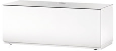 STA110F - Weiss