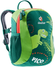 Pico