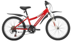 Speedy 20"