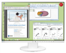 FlexScan EV2455W 24" Monitor