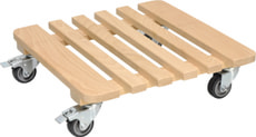 Pflanzenroller Buche
