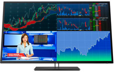 Z43 42.5" 1AA85A4#UUZ Monitor