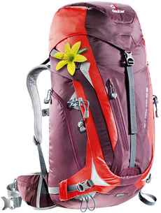 ACT Trail Pro 38 SL