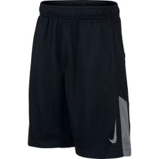 Dry Training Shorts