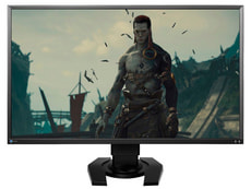FS2735 FORIS Monitor