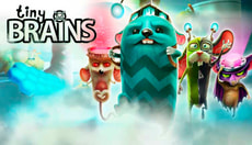 PC - Tiny Brains