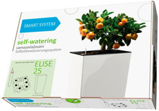Smart System Elise