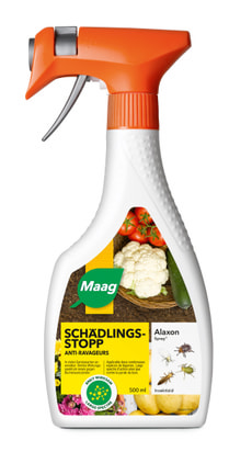 Alaxon Spray, 500 ml