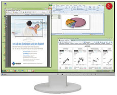 FlexScan EV2455W 24" Monitor