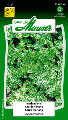 Mariendistel
