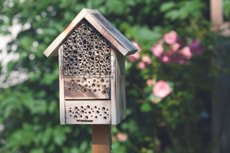 INSEKTENHOTEL "POST OFFICE"