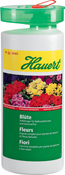 Blüte, 1 l