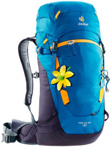 Rise Lite 26 SL