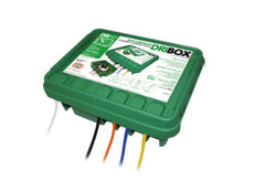 Dribox, gross
