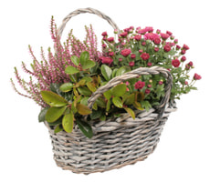 Panier automne