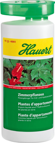 Zimmerpflanzen, 1 l