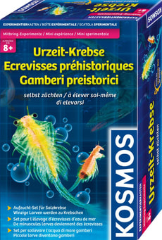 Urzeit-Krebse selbst züchten