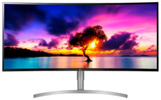 38" 38WK95C-W.AEU Monitor
