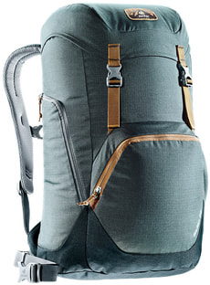 Walker 24