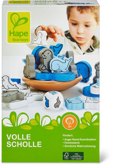 Calotte glaciaire (FSC)