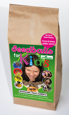 Seedballs for Kids
