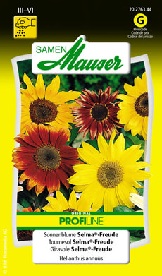 Sonnenblume Selma®-Freude
