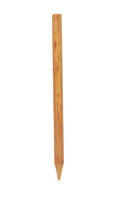Poteau acacia