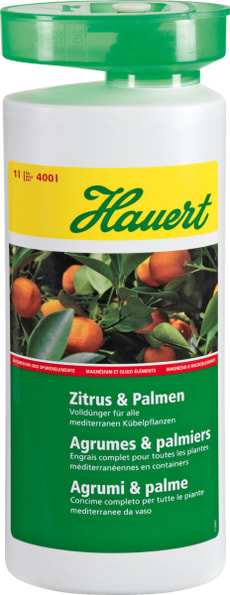Zitrus & Palmen, 1 l