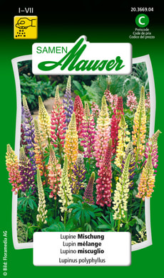 Lupin mélange