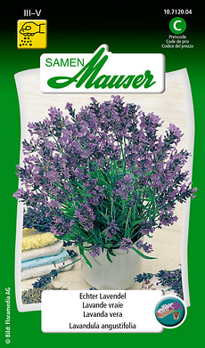 Echter Lavendel