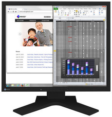 FlexScan S1934H 19" Monitor