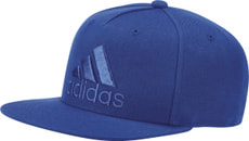 FLAT CAP